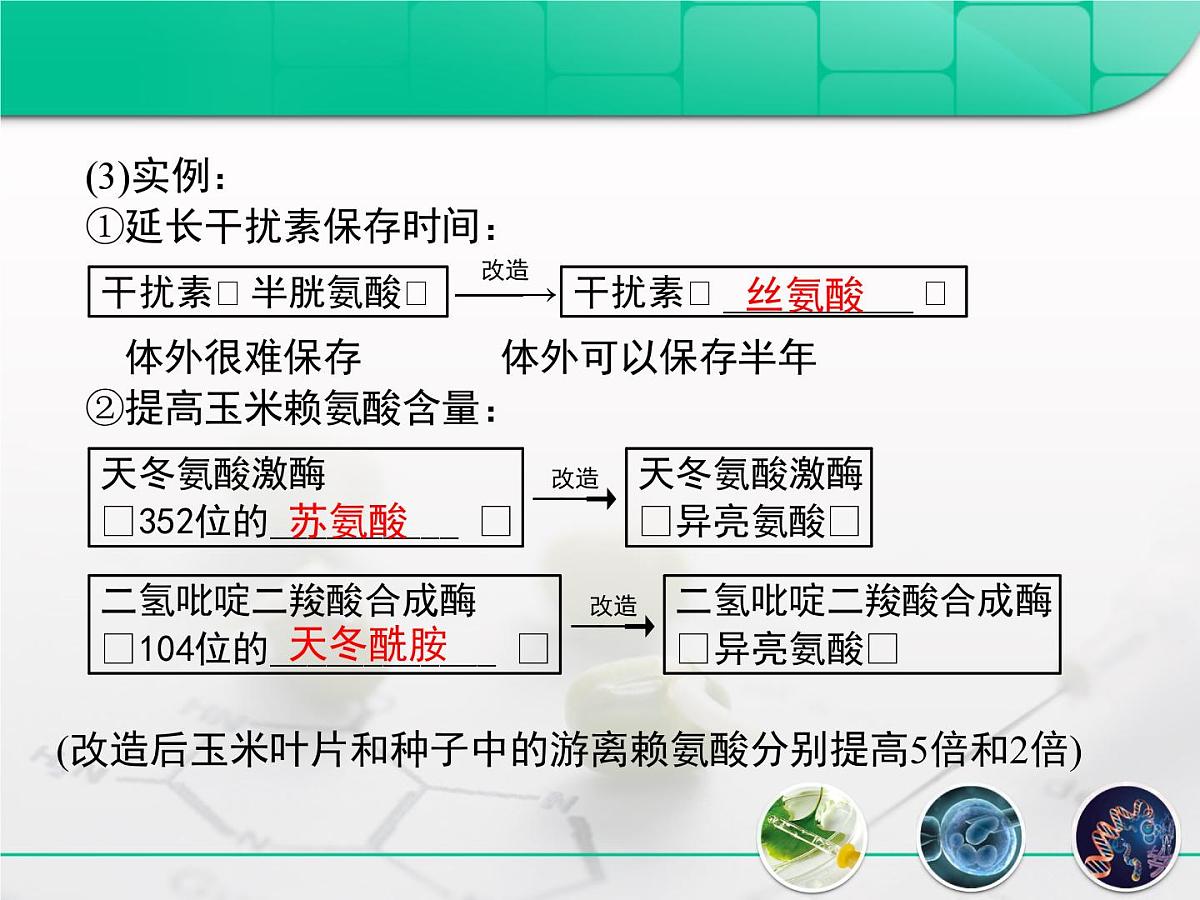 人教版 (新课标)高中生物选修3 1-1.4《蛋白质工程的崛起》复习课件第7页
