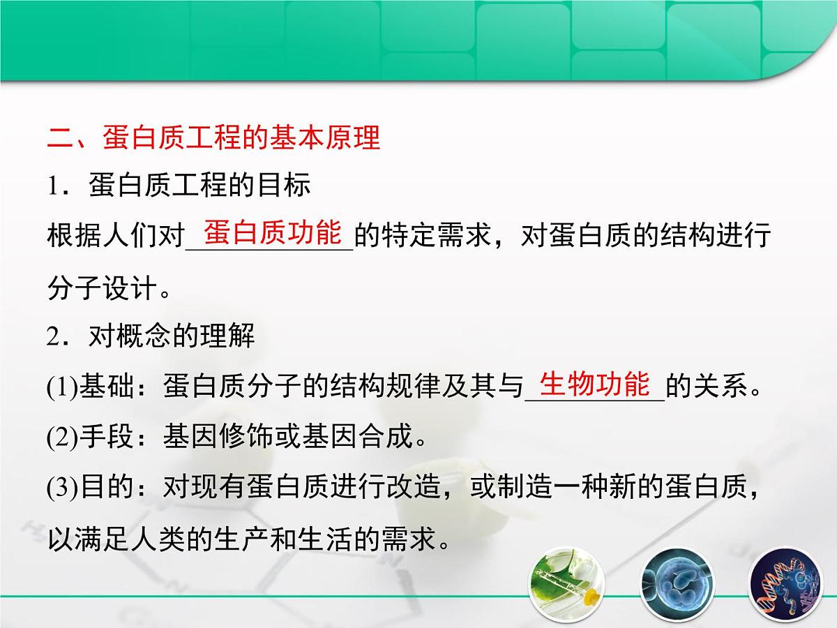 人教版 (新课标)高中生物选修3 1-1.4《蛋白质工程的崛起》复习课件第8页