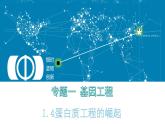 人教版 (新課標(biāo))高中生物選修3 1-1.4《蛋白質(zhì)工程的崛起》課件