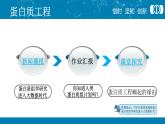 人教版 (新課標(biāo))高中生物選修3 1-1.4《蛋白質(zhì)工程的崛起》課件