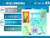 人教版 (新課標(biāo))高中生物選修3 1-1.4《蛋白質(zhì)工程的崛起》課件