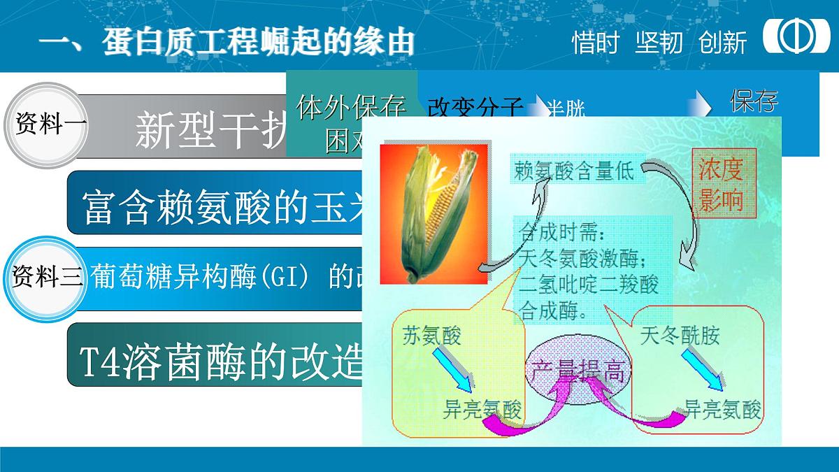 人教版 (新课标)高中生物选修3 1-1.4《蛋白质工程的崛起》课件第3页