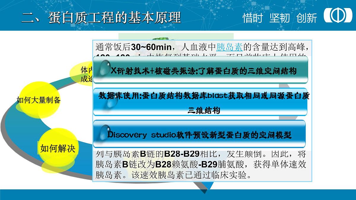 人教版 (新课标)高中生物选修3 1-1.4《蛋白质工程的崛起》课件第4页