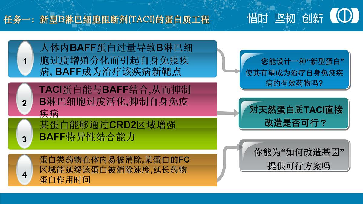 人教版 (新课标)高中生物选修3 1-1.4《蛋白质工程的崛起》课件第7页