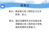人教版 (新課標(biāo))高中生物選修3 1-1.4《蛋白質(zhì)工程的崛起》課件