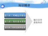 人教版 (新課標(biāo))高中生物選修3 1-1.4《蛋白質(zhì)工程的崛起》課件