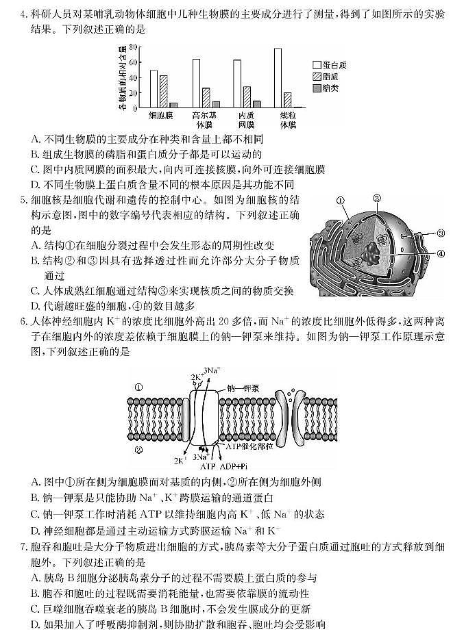 山西省2024-2025学年高一上学期1月期末质量检测生物试卷（扫描版含部分解析）第2页