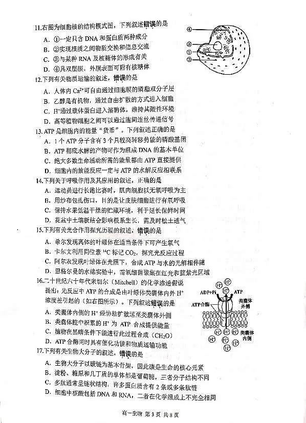 江苏省苏州市2024-2025学年高一上学期1月期末学业阳光指标调研试题 生物 PDF版无答案第3页