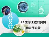 人教版 (新課標)高中生物選修3 5.2《生態(tài)工程的實例和發(fā)展前景》課件