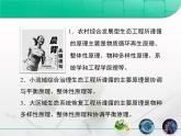 人教版 (新課標)高中生物選修3 5.2《生態(tài)工程的實例和發(fā)展前景》課件