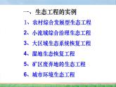 人教版 (新課標)高中生物選修3 5.2《生態(tài)工程的實例和發(fā)展前景（第1課時）》課件