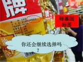 人教版 (新課標(biāo))高中生物選修3 4.1《轉(zhuǎn)基因生物的安全性》課件