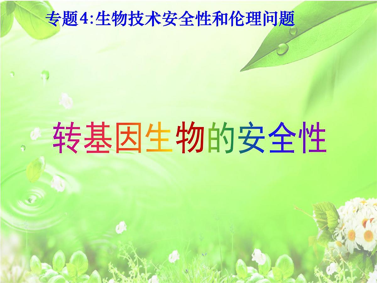 人教版 (新课标)高中生物选修3 4.1《转基因生物的安全性》课件第4页