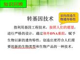 人教版 (新課標(biāo))高中生物選修3 4.1《轉(zhuǎn)基因生物的安全性》課件