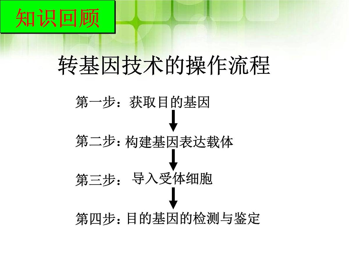 人教版 (新课标)高中生物选修3 4.1《转基因生物的安全性》课件第6页