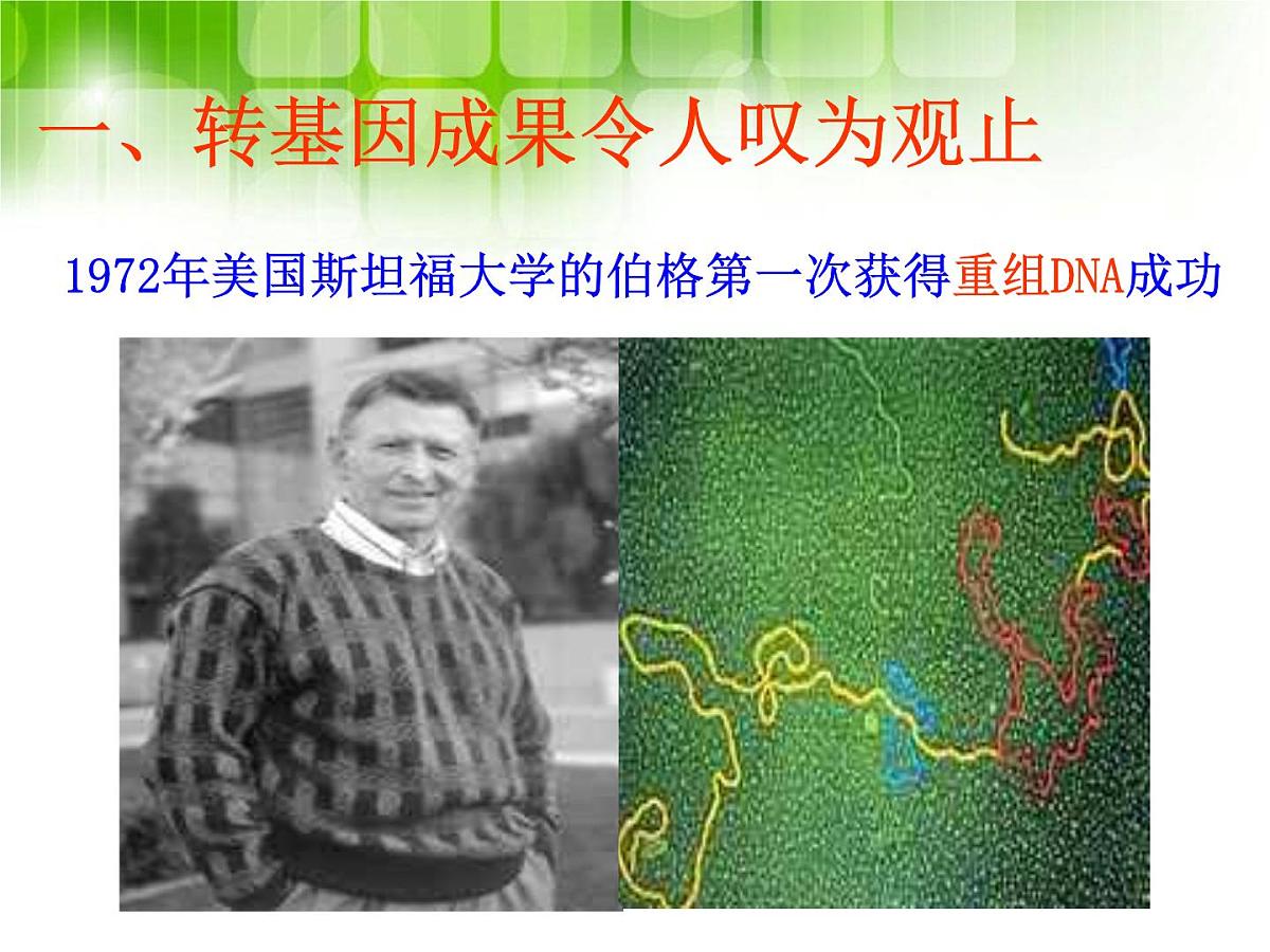 人教版 (新课标)高中生物选修3 4.1《转基因生物的安全性》课件第7页