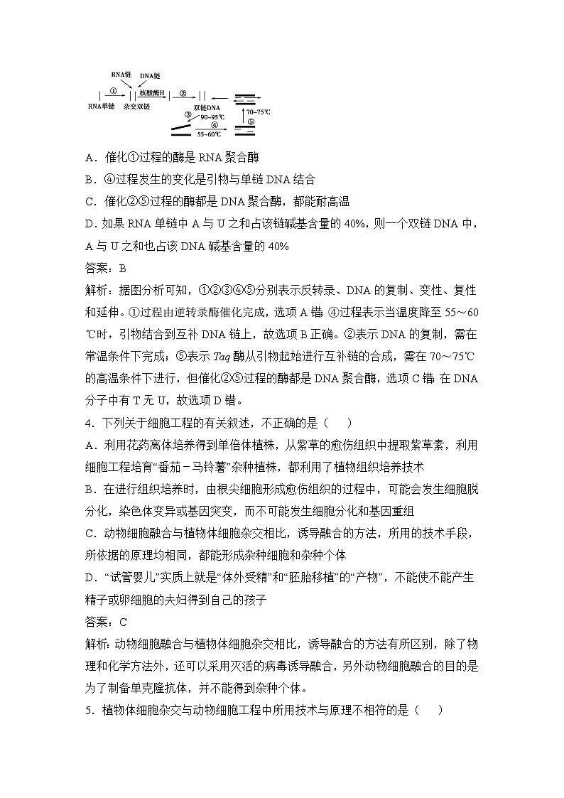 人教版 (新课标)高中生物选修3 《现代生物科技专题》期末综合检测（一）无答案第2页