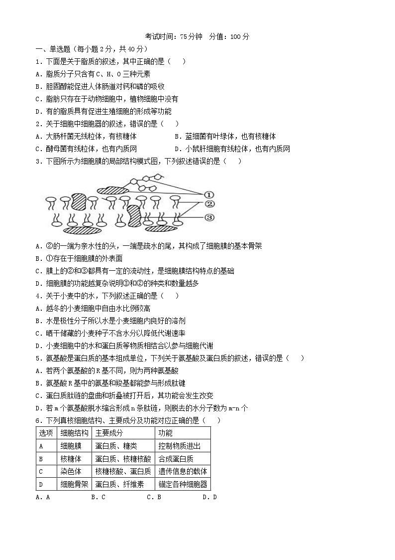 福建省福州市2024_2025学年高一生物上学期11月期中检测第1页
