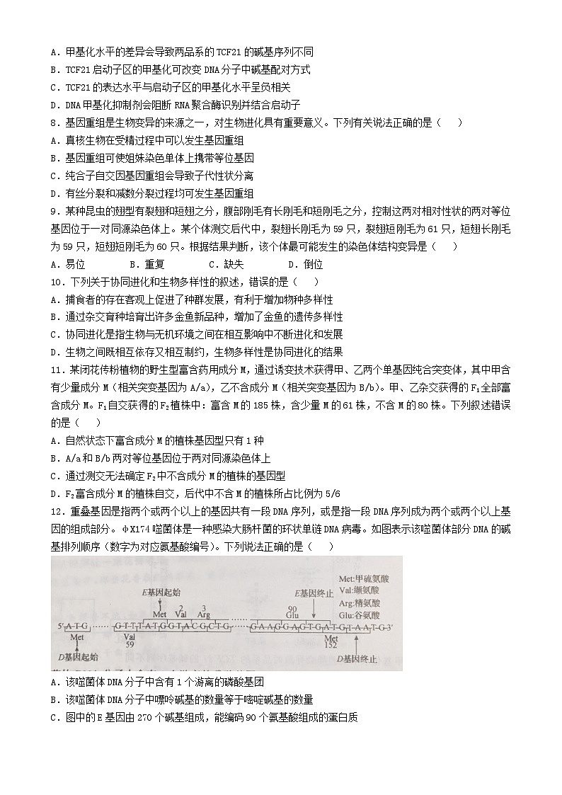 河北省邯郸市部分学校2024_2025学年高三生物上学期11月期中联考试题含解析第3页