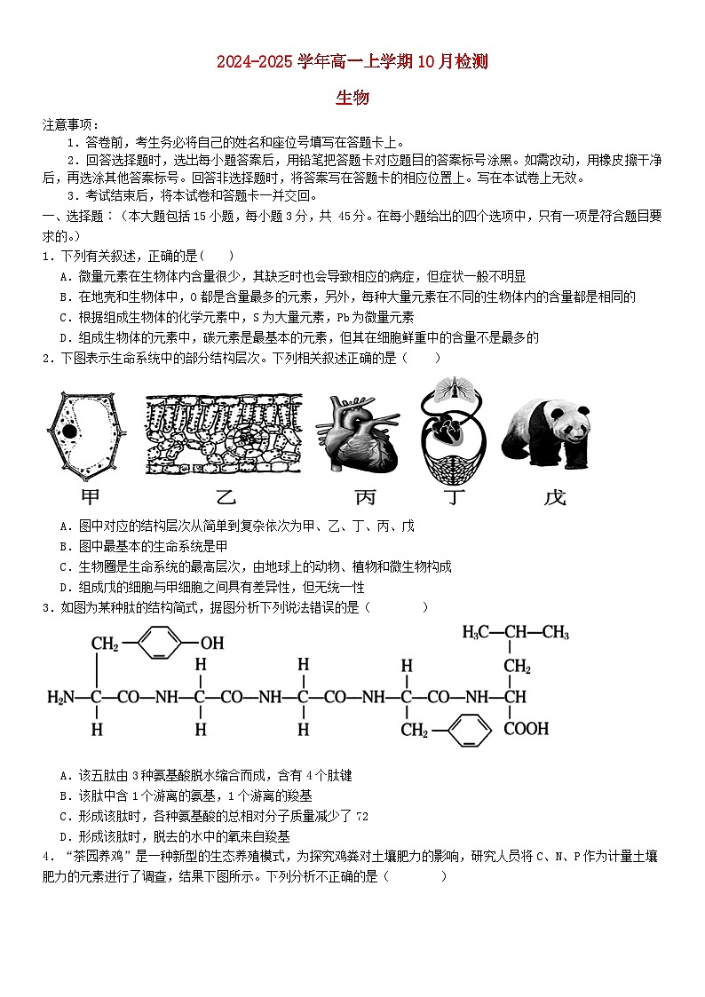 河南省许昌市2024_2025学年高一生物上学期10月月考试题含解析第1页