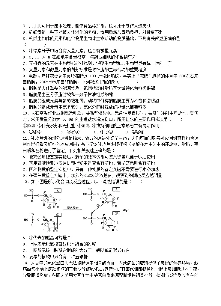 湖北省宜昌市部分省级示范高中2024_2025学年高一生物上学期期中联考试卷第2页
