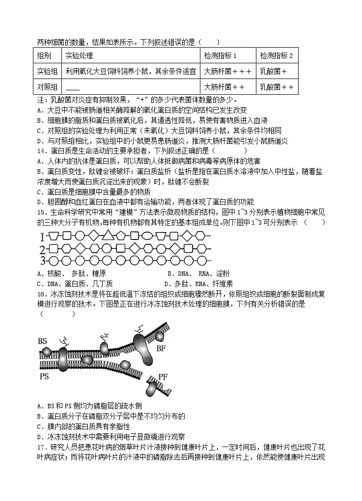 湖北省宜昌市部分省级示范高中2024_2025学年高一生物上学期期中联考试卷第3页
