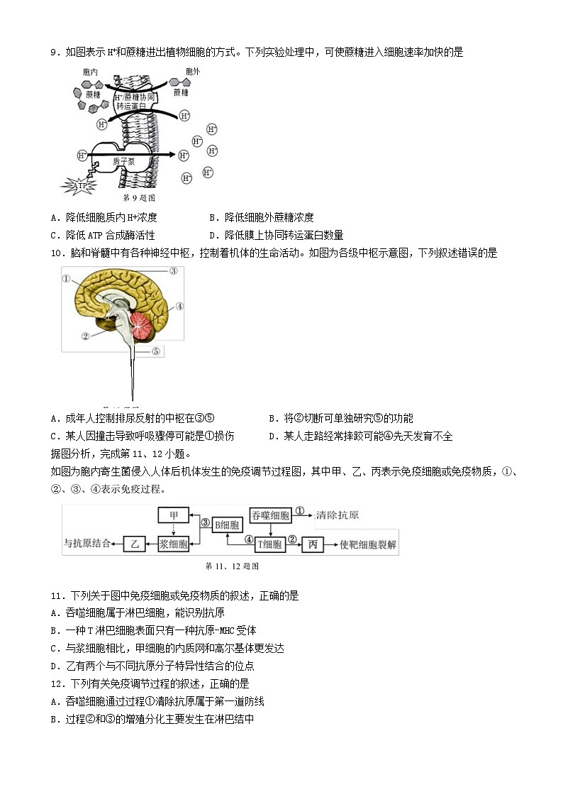 浙江省2024_2025学年高二生物上学期11月期中测试第2页