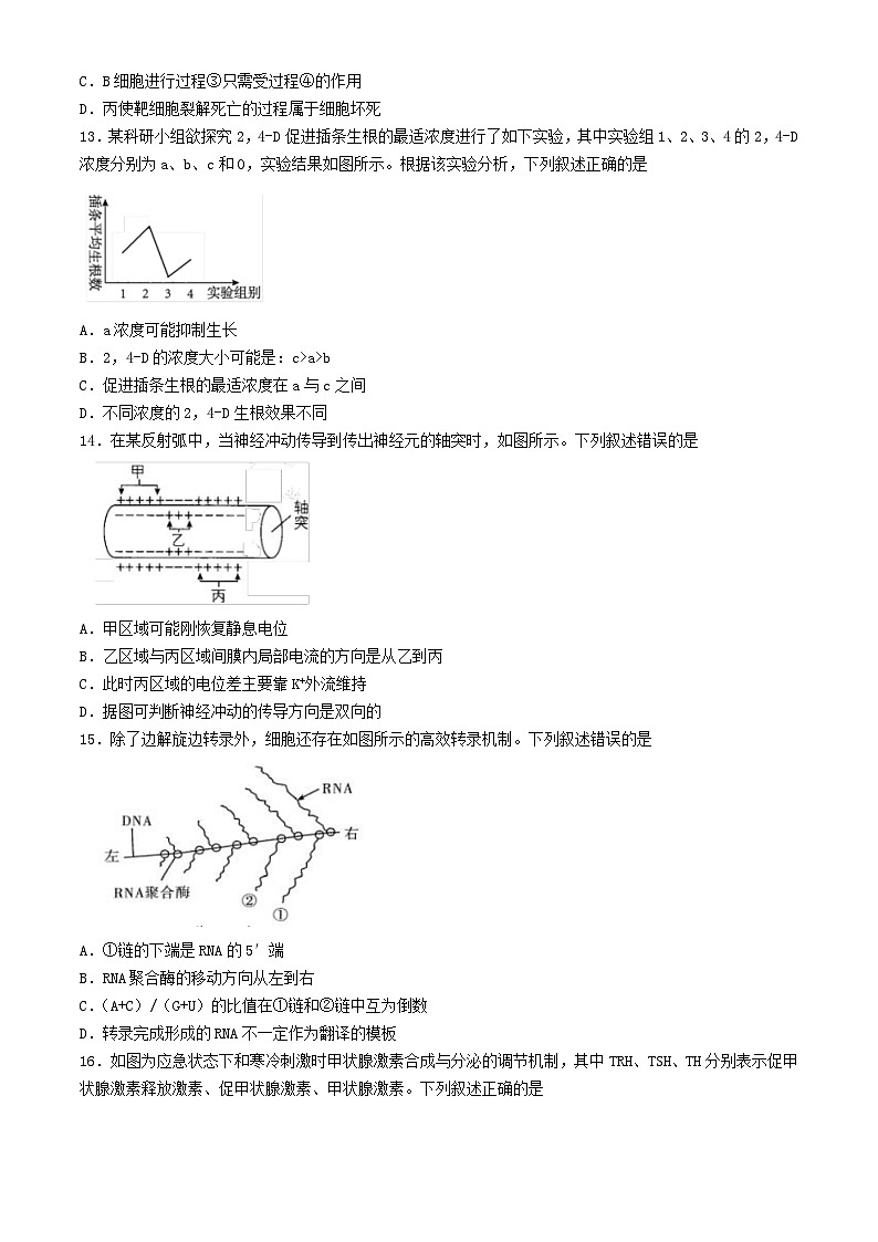 浙江省2024_2025学年高二生物上学期11月期中测试第3页