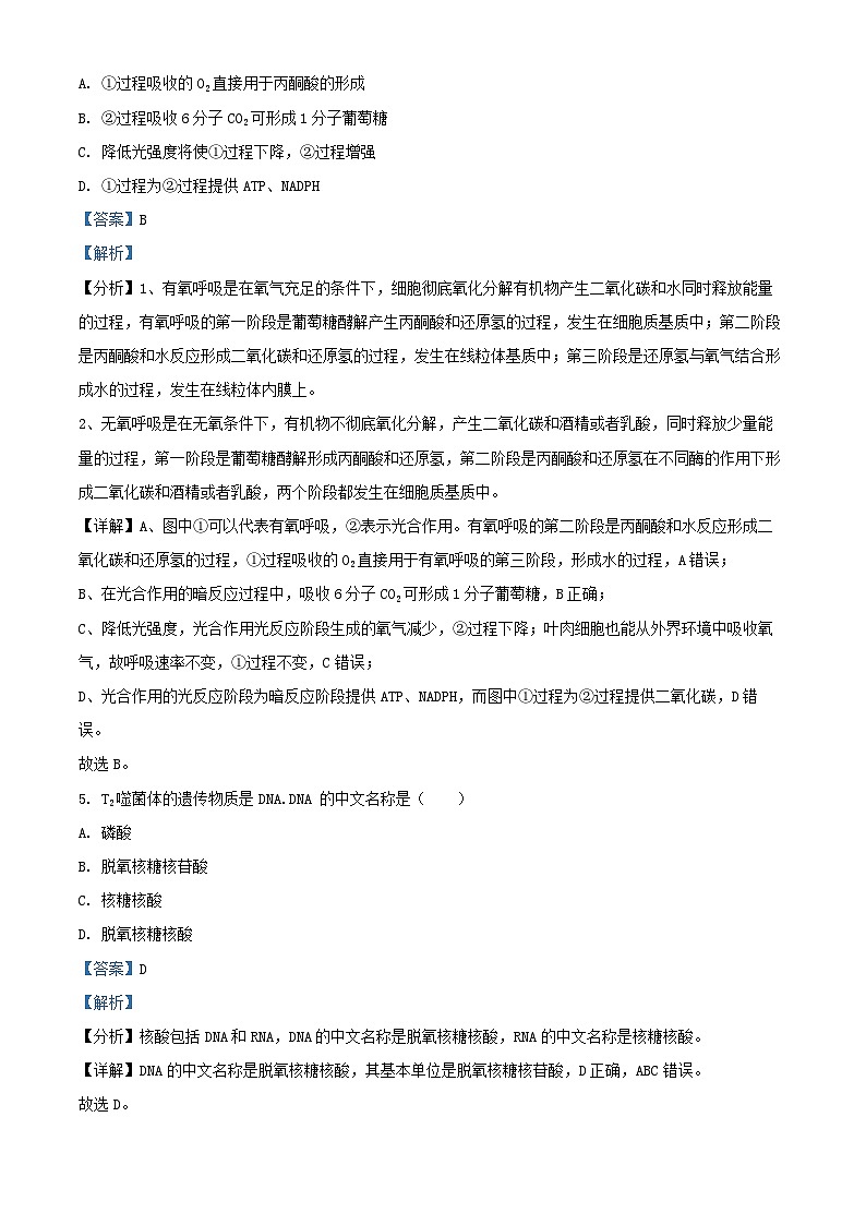 浙江省杭州市2024_2025学年高一生物上学期期中测试试卷含解析第3页