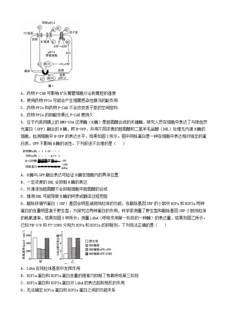 重庆市2024_2025学年高三生物上学期11月月考试题第2页