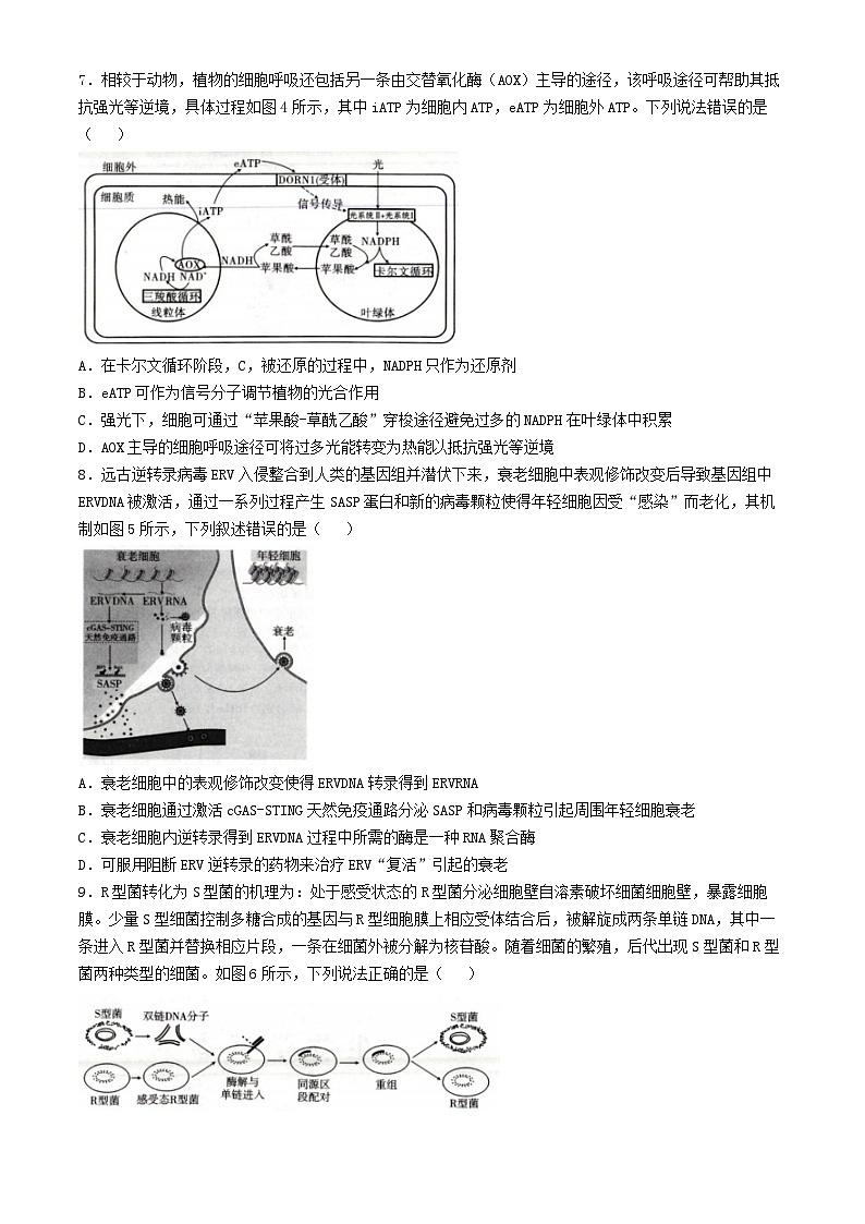 重庆市2024_2025学年高三生物上学期11月月考试题第3页