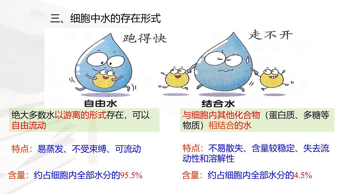 人教版高中生物必修1 2-2《细胞中的无机物 》课件第7页