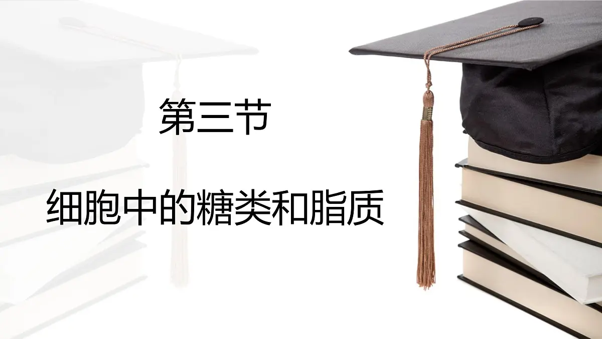 人教版高中生物必修1 2-3《细胞中的糖类和脂质》课件第1页