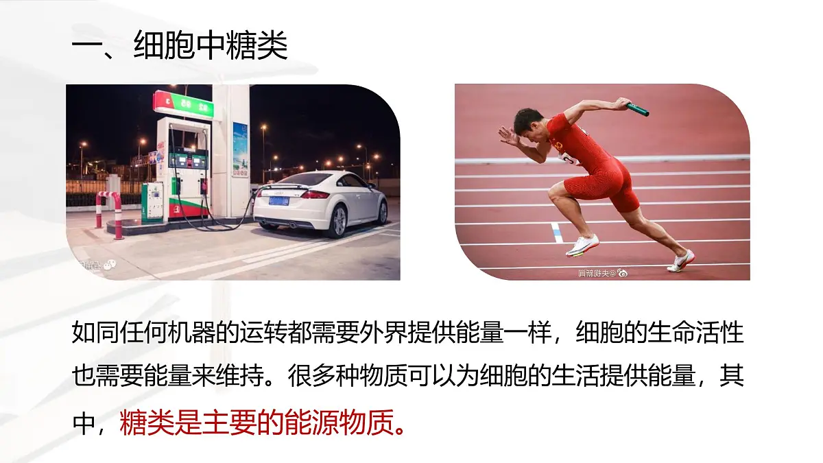 人教版高中生物必修1 2-3《细胞中的糖类和脂质》课件第3页