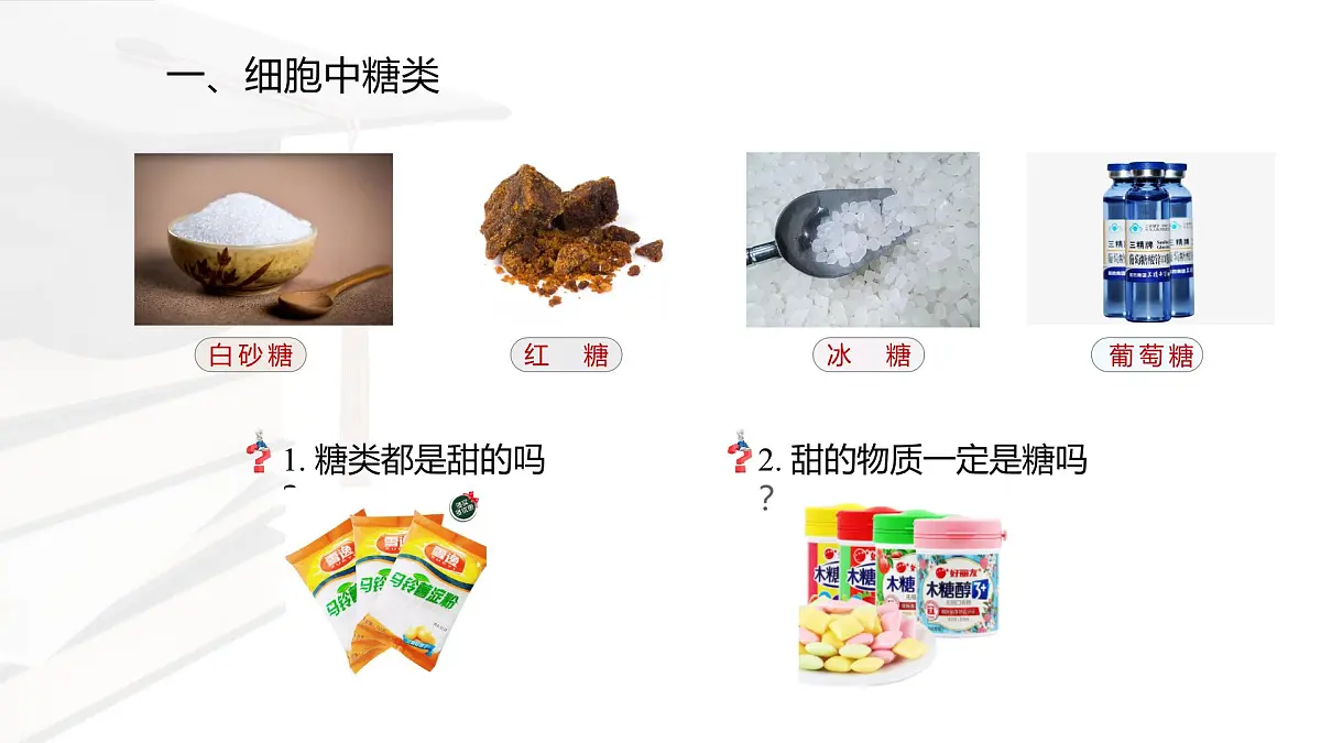 人教版高中生物必修1 2-3《细胞中的糖类和脂质》课件第4页