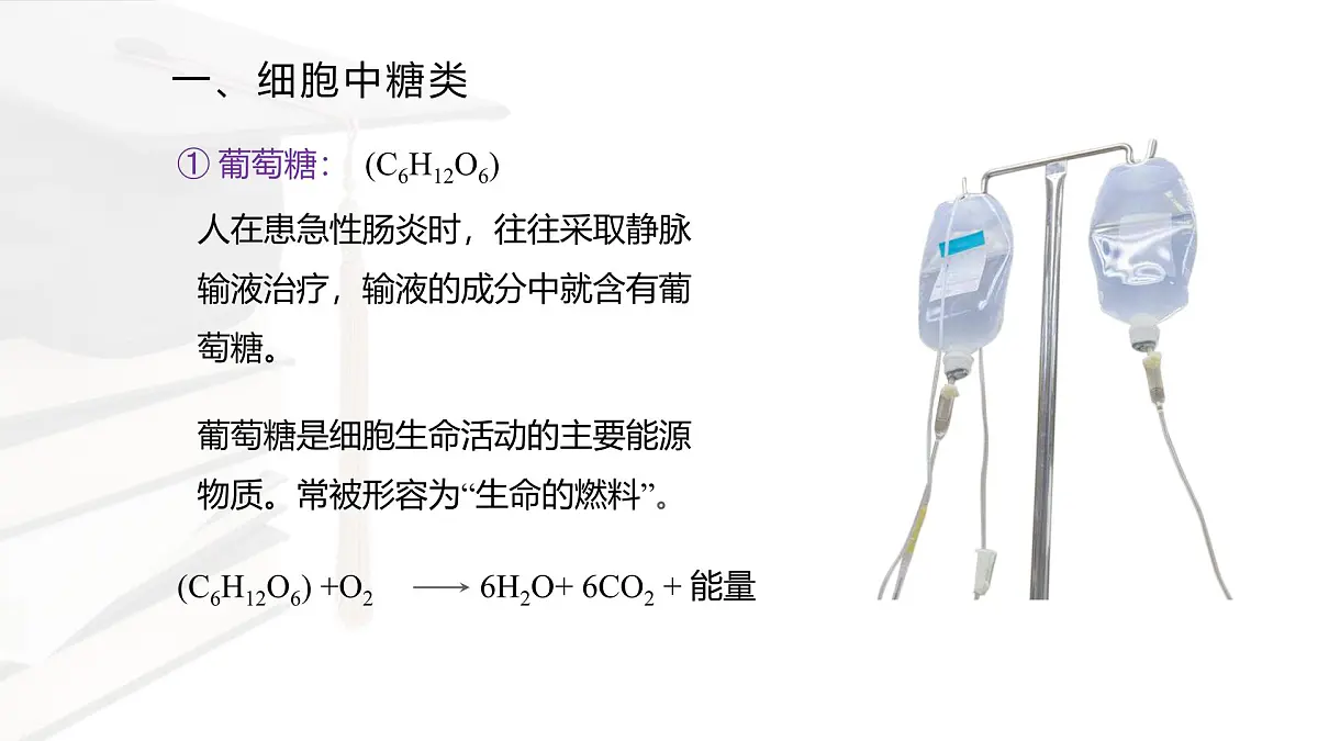 人教版高中生物必修1 2-3《细胞中的糖类和脂质》课件第7页