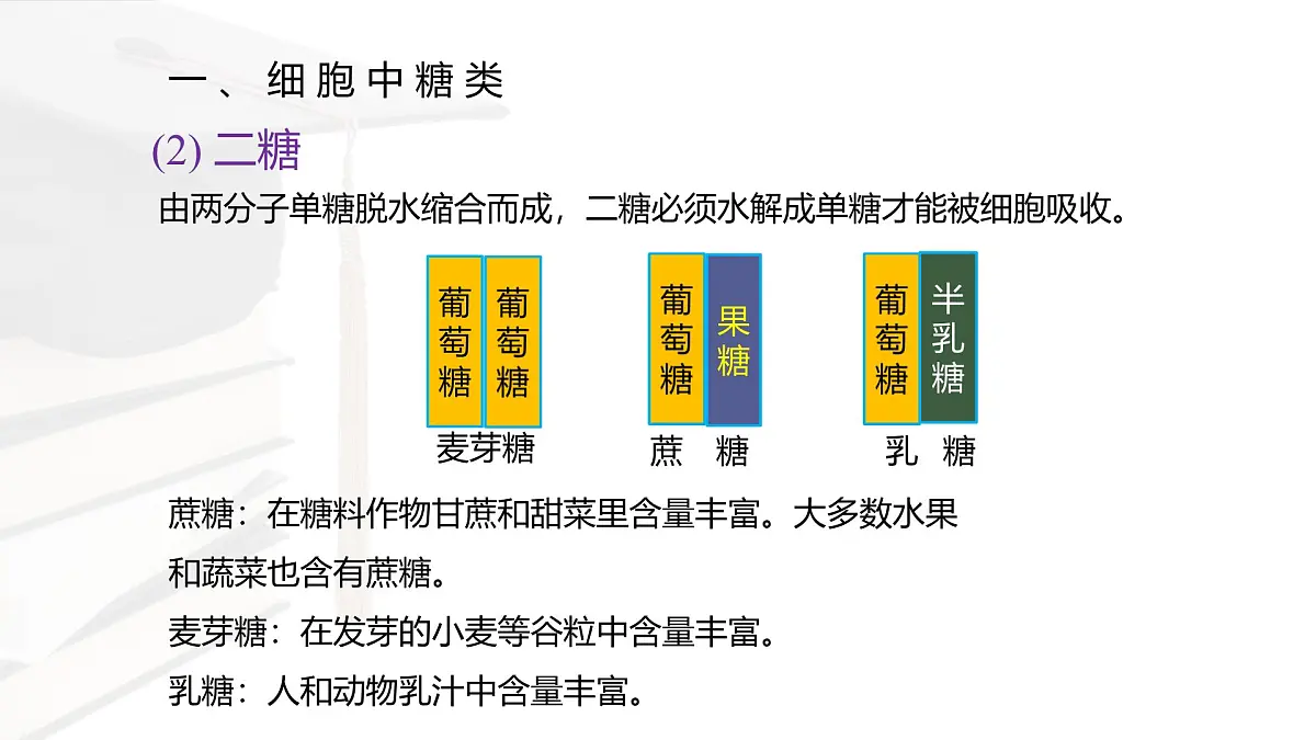 人教版高中生物必修1 2-3《细胞中的糖类和脂质》课件第8页
