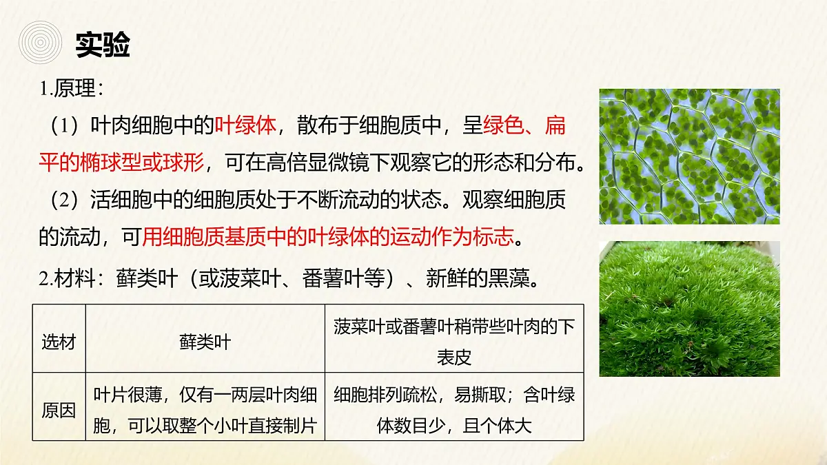 人教版高中生物必修1 3-2《细胞器之间的分工合作（第2课时）》课件第3页