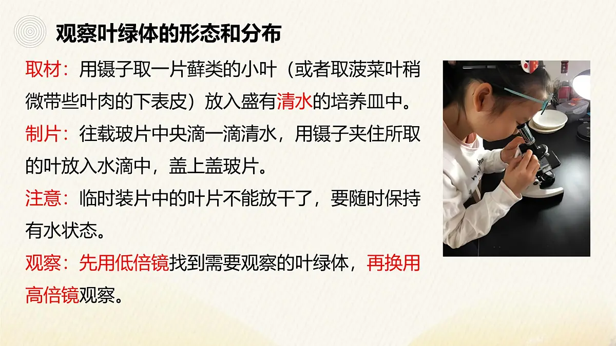 人教版高中生物必修1 3-2《细胞器之间的分工合作（第2课时）》课件第4页