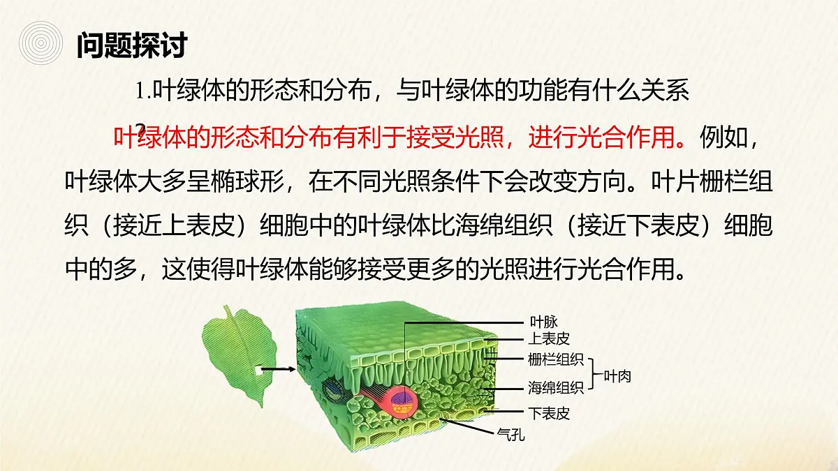 人教版高中生物必修1 3-2《细胞器之间的分工合作（第2课时）》课件第7页