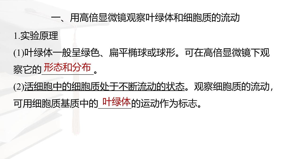 人教版高中生物必修1 3-2《细胞器之间的分工合作 》课时1 课件第2页