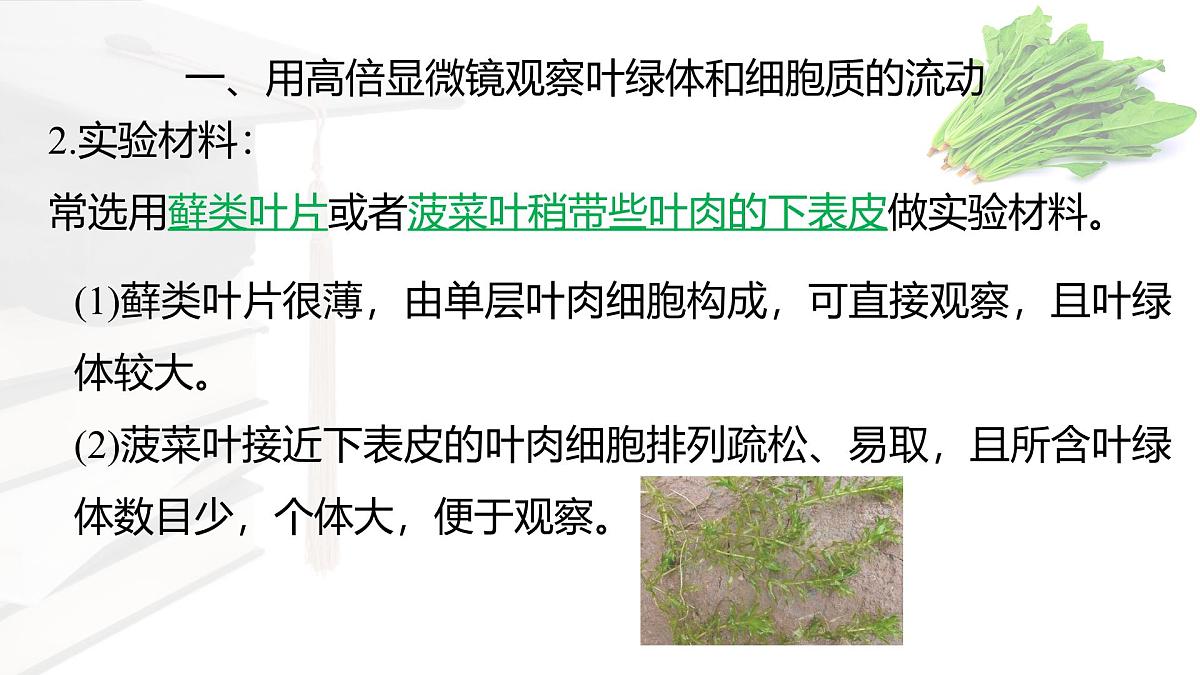 人教版高中生物必修1 3-2《细胞器之间的分工合作 》课时1 课件第3页