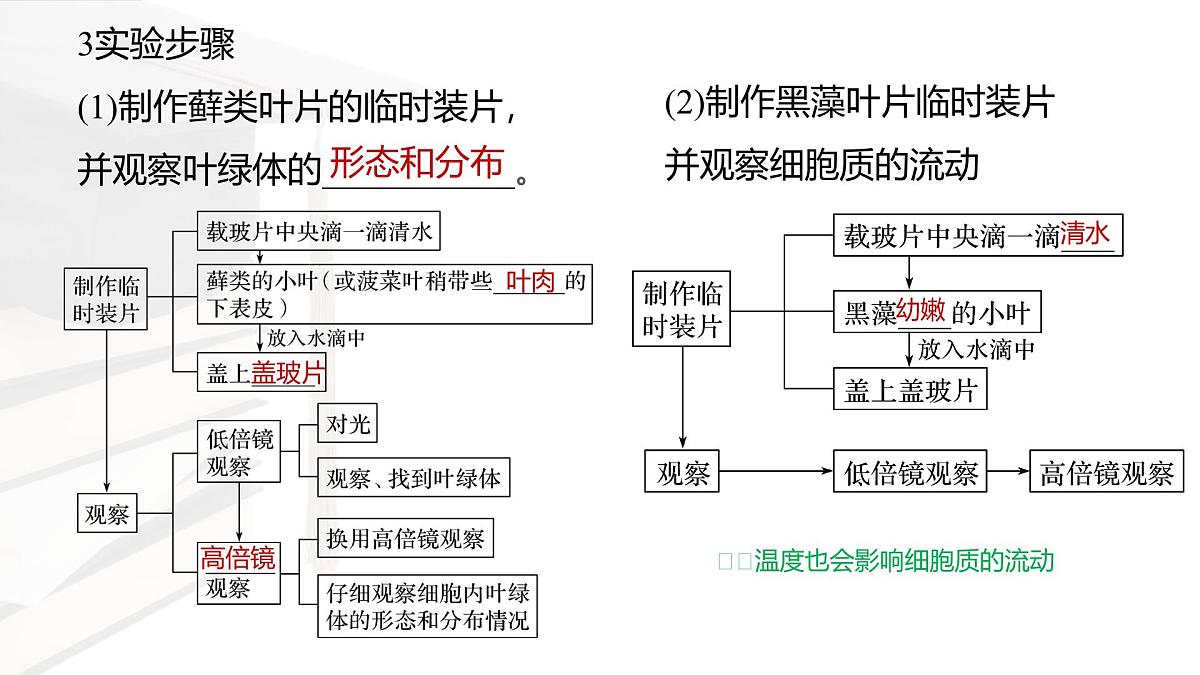 人教版高中生物必修1 3-2《细胞器之间的分工合作 》课时1 课件第4页