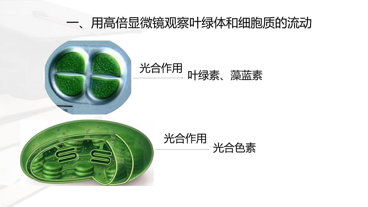 人教版高中生物必修1 3-2《细胞器之间的分工合作 》课时1 课件第8页
