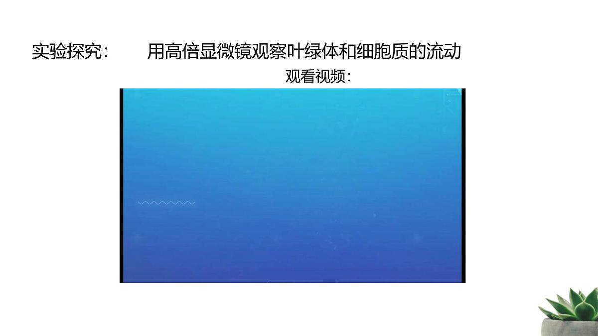 人教版高中生物必修1 3-2《细胞器之间的分工合作 》课时2教学课件第2页