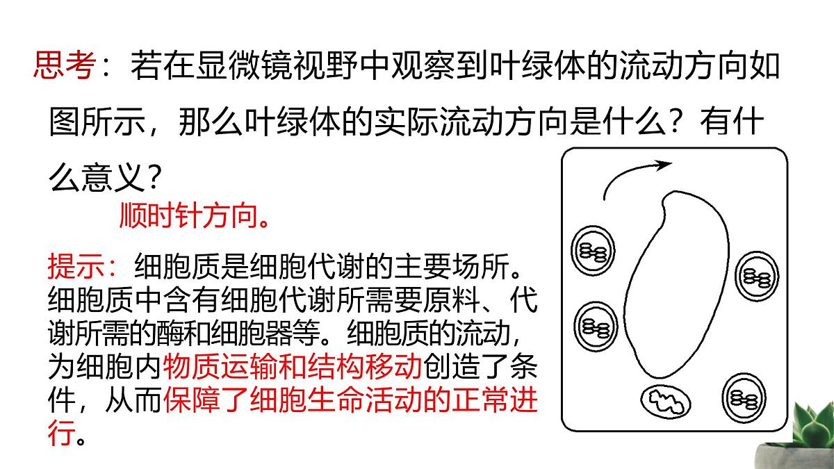 人教版高中生物必修1 3-2《细胞器之间的分工合作 》课时2教学课件第7页
