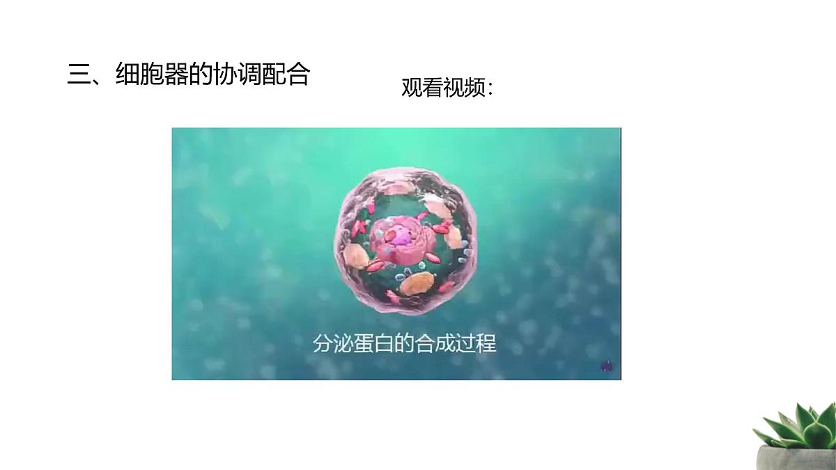 人教版高中生物必修1 3-2《细胞器之间的分工合作 》课时2教学课件第8页