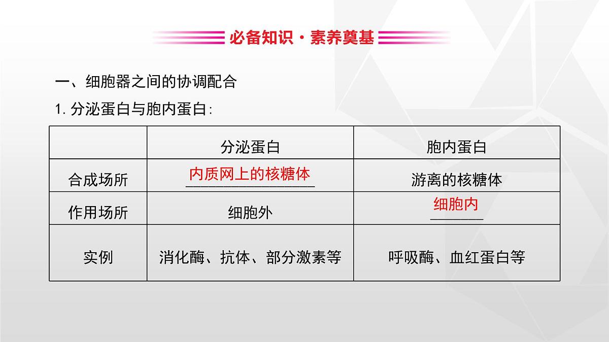 人教版高中生物必修1 3-2《细胞器之间的分工合作》第二课时课件第4页