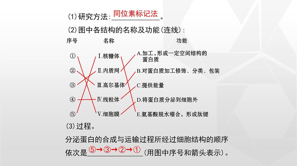 人教版高中生物必修1 3-2《细胞器之间的分工合作》第二课时课件第6页