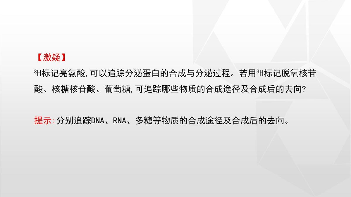 人教版高中生物必修1 3-2《细胞器之间的分工合作》第二课时课件第7页